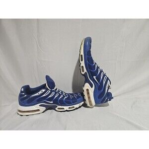 Size 10 - Nike Air Max Plus Arctic Chill